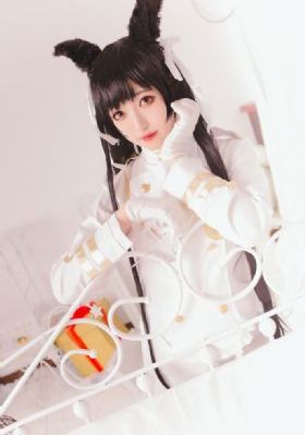 国产精品专区一区_电视剧完整版在线观看